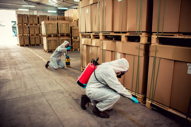 Best Local Pest Control Services  in South Whitley, IN