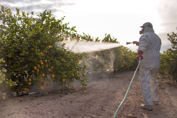 Best Pest Removal Services  in South Whitley, IN