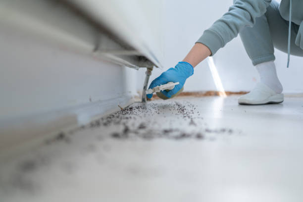 Best Mosquito Control Services  in South Whitley, IN