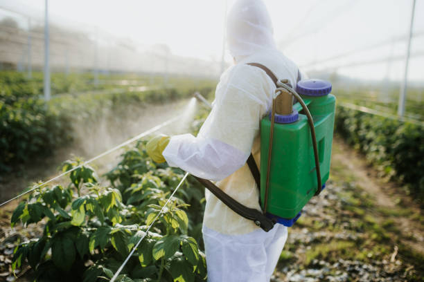 Best Wasp Removal Services  in South Whitley, IN
